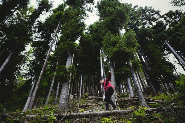 Quels sont les meilleurs sentiers pour une randonnée en forêt en Finlande?